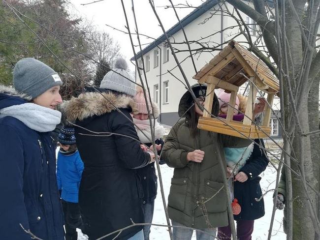 doakrmianie ptaków 11